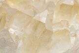 Large Quartz Crystal Cluster - Brazil #225169-7